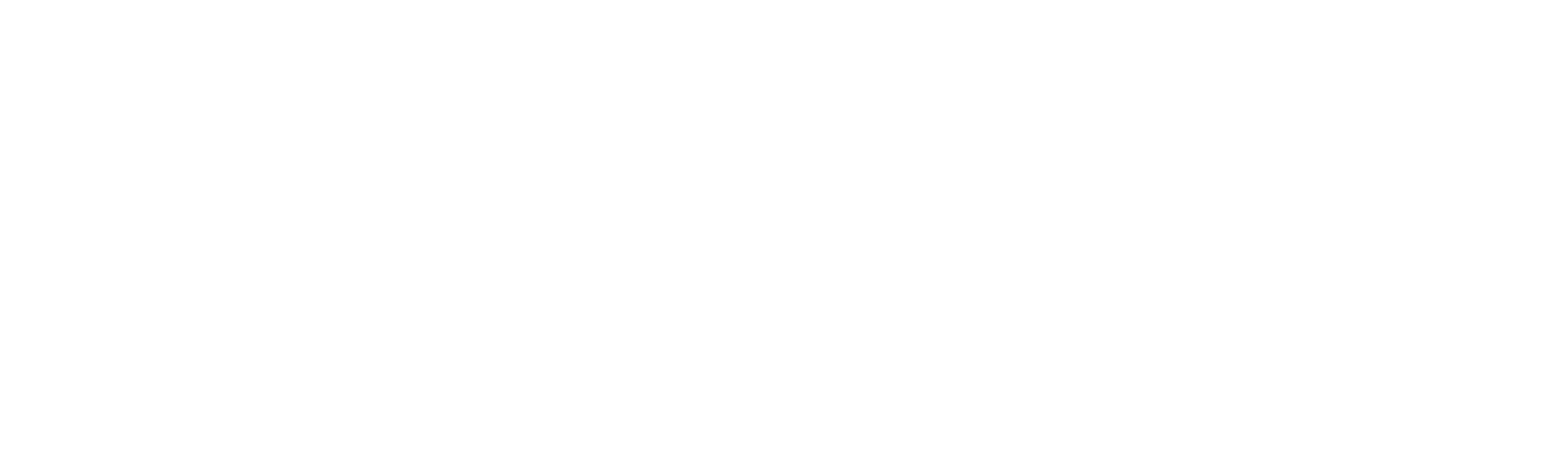 Zenith Digital Group